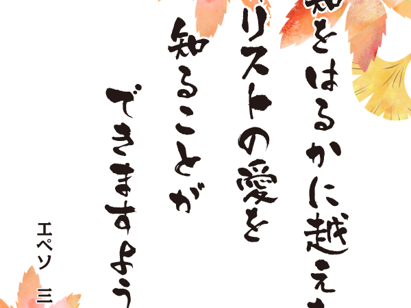 みことば10月11日